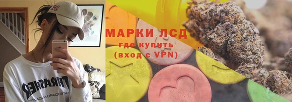 гидра Михайловка