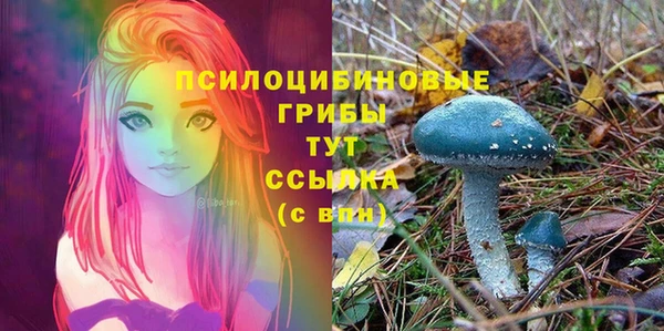 apvp Мегион