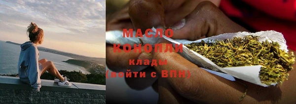 гидра Михайловка