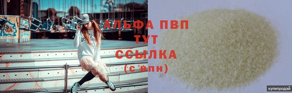 гидра Михайловка