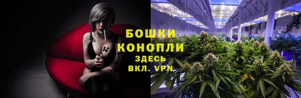 mdpv Михайловск