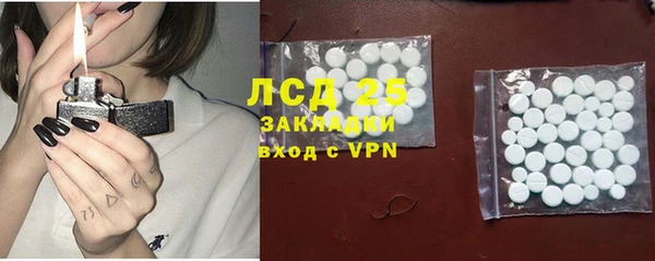 гидра Михайловка