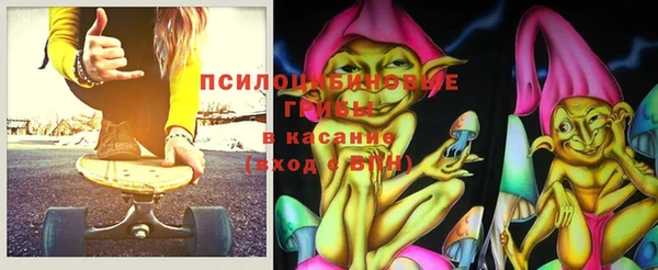 гидра Михайловка
