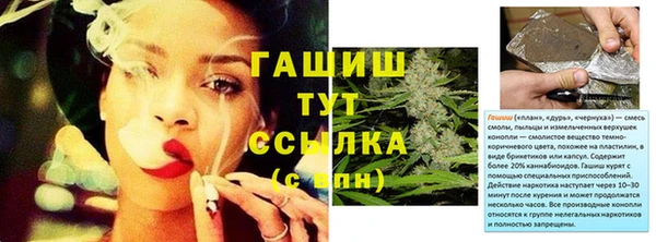 гидра Михайловка