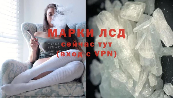 гидра Михайловка