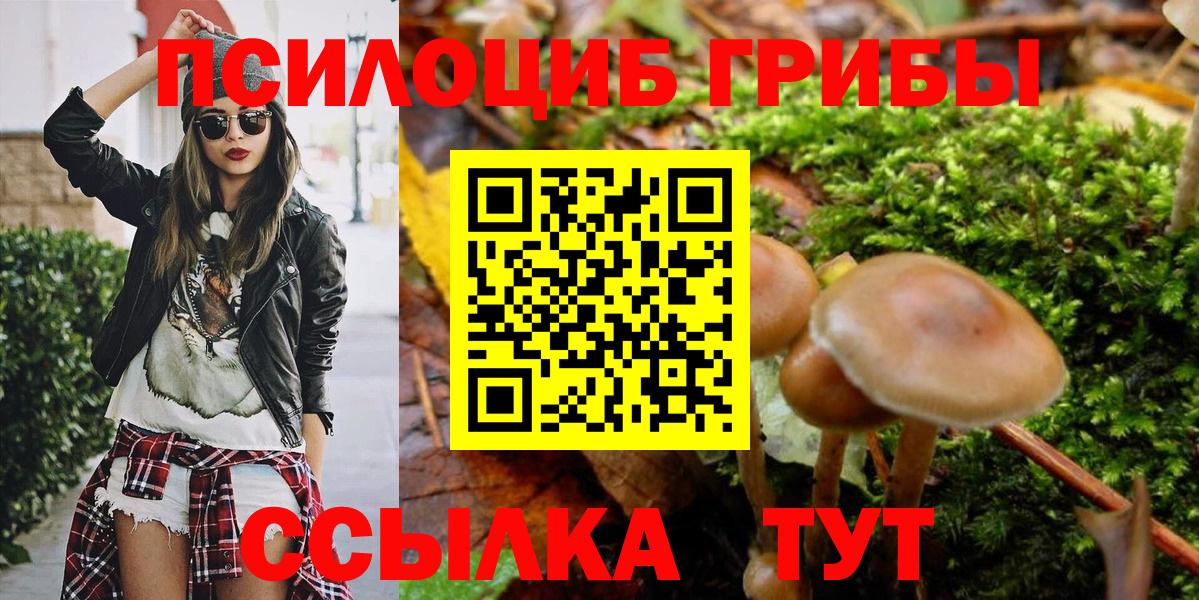 Галлюциногенные грибы MAGIC MUSHROOMS Усть-Кут